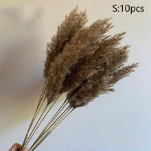Load image into Gallery viewer, Pampas grass