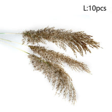 Load image into Gallery viewer, Pampas grass