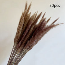 Load image into Gallery viewer, Pampas grass