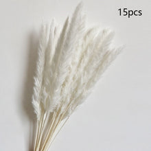 Load image into Gallery viewer, Pampas grass