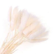 Load image into Gallery viewer, Pampas grass
