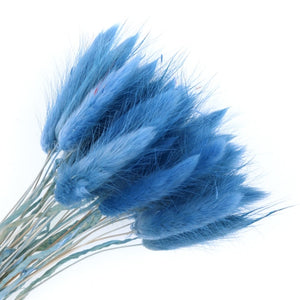 Pampas grass