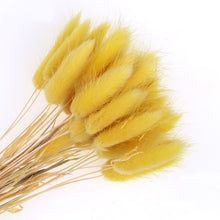 Load image into Gallery viewer, Pampas grass
