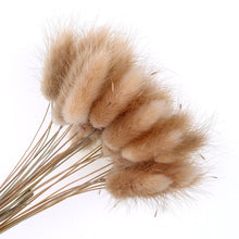 Load image into Gallery viewer, Pampas grass