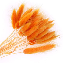 Load image into Gallery viewer, Pampas grass