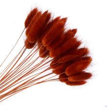 Load image into Gallery viewer, Pampas grass