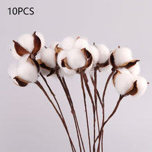 Load image into Gallery viewer, Pampas grass