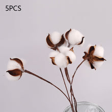 Load image into Gallery viewer, Pampas grass